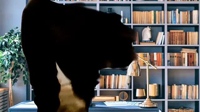 VanceFontaine live sex cam