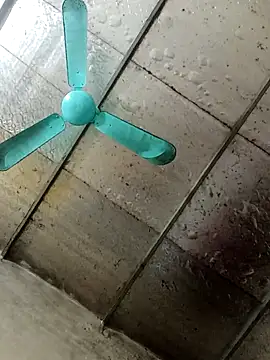 Sana-vn's cam snapshot