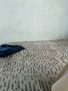 lineras's cam snapshot