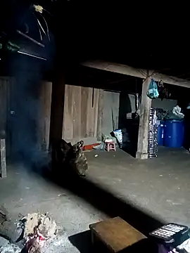 ava-dellght's cam snapshot