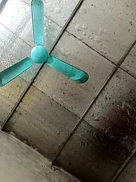 Sana-vn's cam snapshot