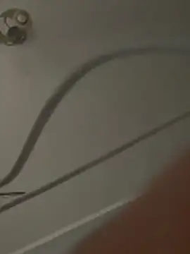 bunnythetailor live sex cam