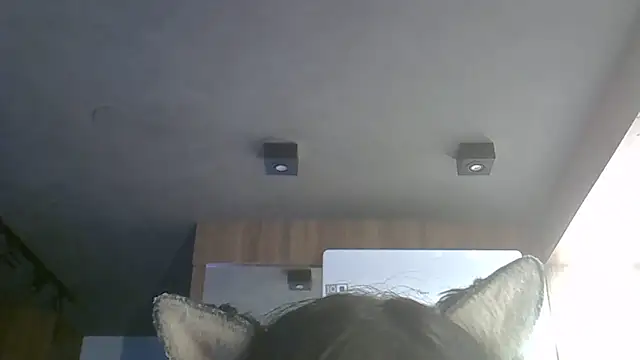 SkinnyKitten live sex cam