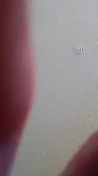 MrSugarballs live sex cam