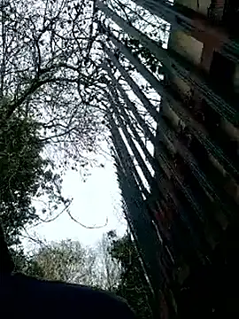 MrDickLongturn live sex cam