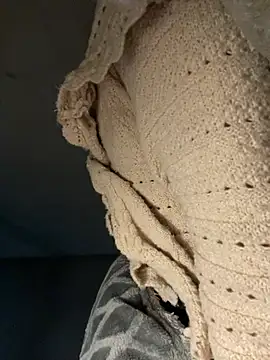 linh-li's cam snapshot