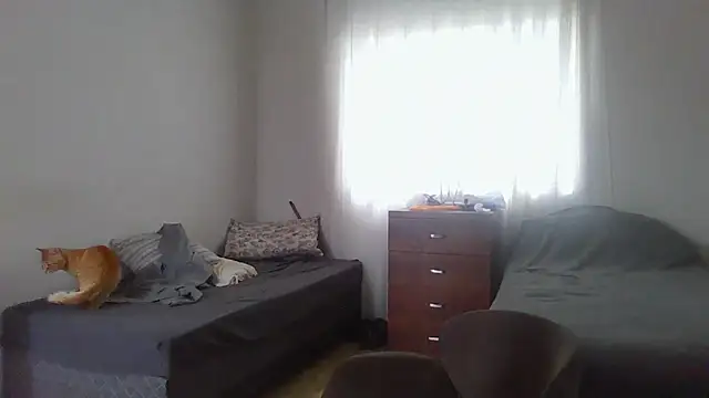 prorafadodoce's cam snapshot