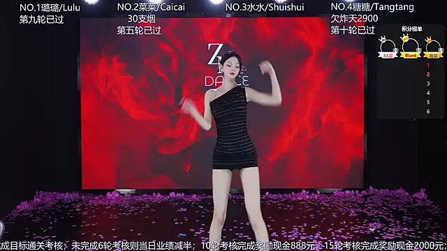 SK-001's cam snapshot