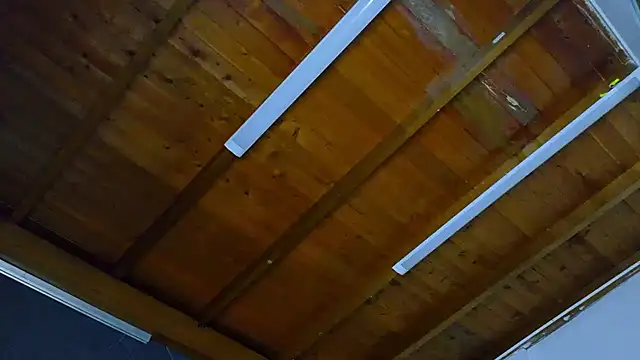 ALANNFERRER's cam snapshot