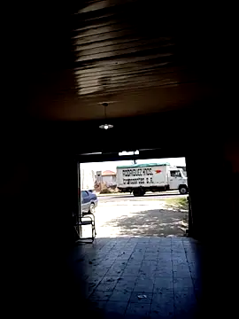 hecwil8 live sex cam