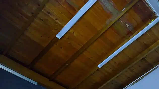 ALANNFERRER's cam snapshot