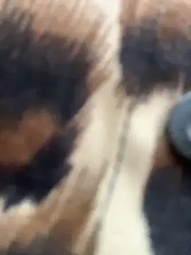 _JessyRey_ live sex cam