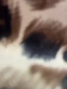 _JessyRey_ live sex cam