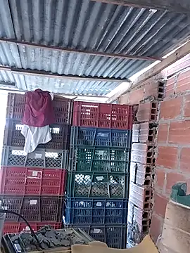 hoteder live sex cam