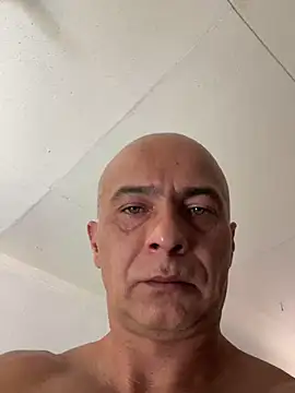 dogfrota's cam snapshot