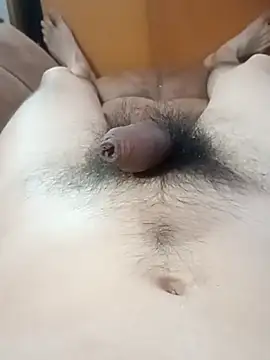 rodovlaz live sex cam