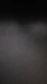 palmal3's cam snapshot