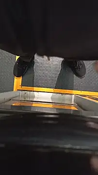 palmal3's cam snapshot