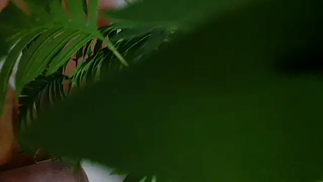 Imcarrieberry's cam snapshot