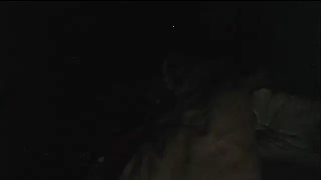 hebe-02 live sex cam