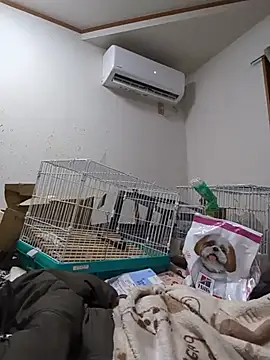 youheikun's cam snapshot