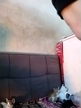 TermedScherzo live sex cam