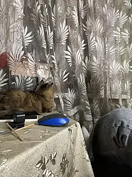 Dark_Diamond8's cam snapshot