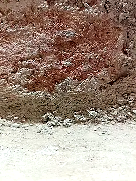 Rajni_chauhan's cam snapshot