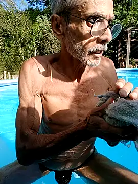 dutra498 live sex cam