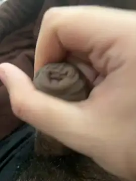 StickyTick live sex cam