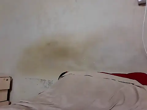 fitbuddy1's cam snapshot