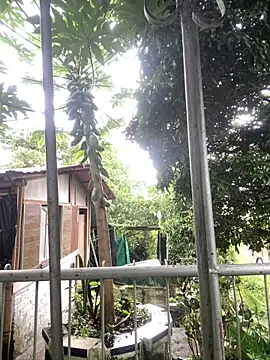 Jestebandiaz07's cam snapshot