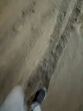 Bengali_BULL1 live sex cam