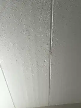 Tassiagay's cam snapshot