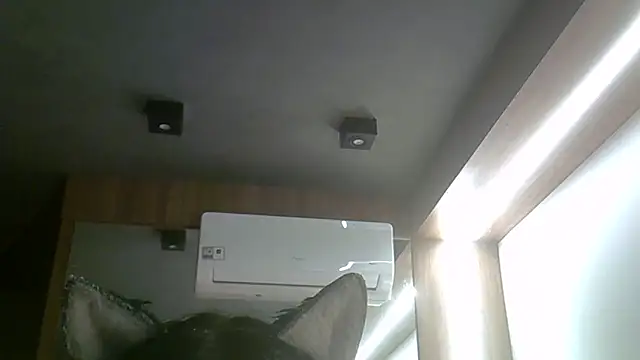 SkinnyKitten live sex cam