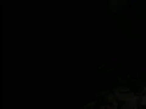 Pearlod2's cam snapshot