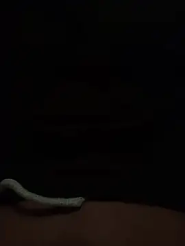 pajas18 live sex cam