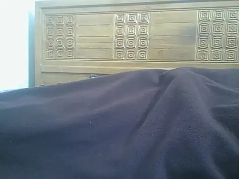 Heartline's cam snapshot