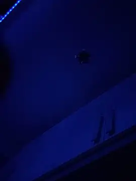 anonimus150600's cam snapshot