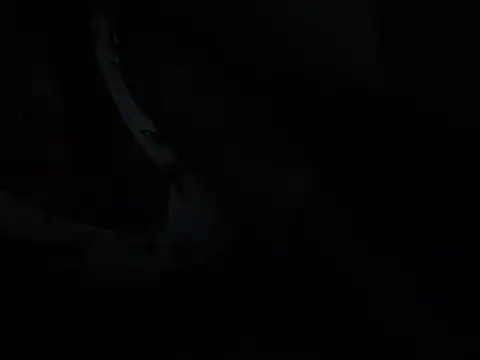 African_Bigjuicyass live sex cam