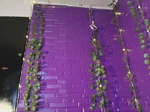 VenusRs live sex cam