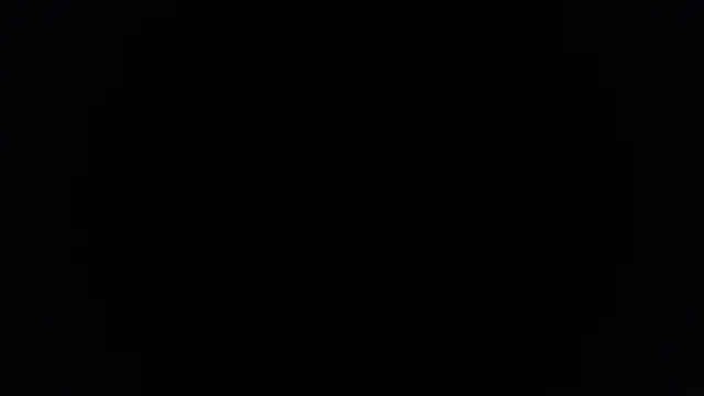 palidin1's cam snapshot