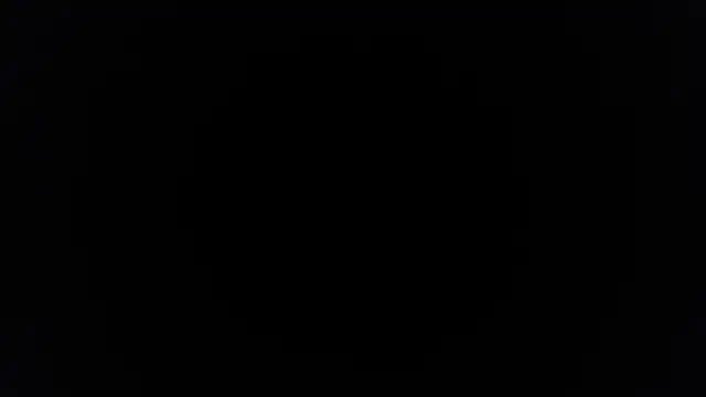 palidin1's cam snapshot