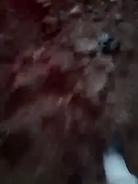 Bengali_BULL1 live sex cam