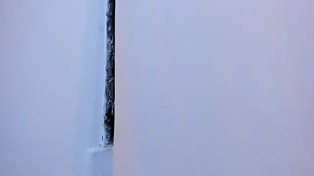 arlediaz1's cam snapshot