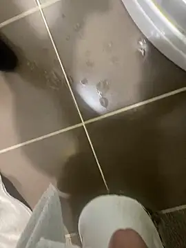 BatchedTracer's cam snapshot