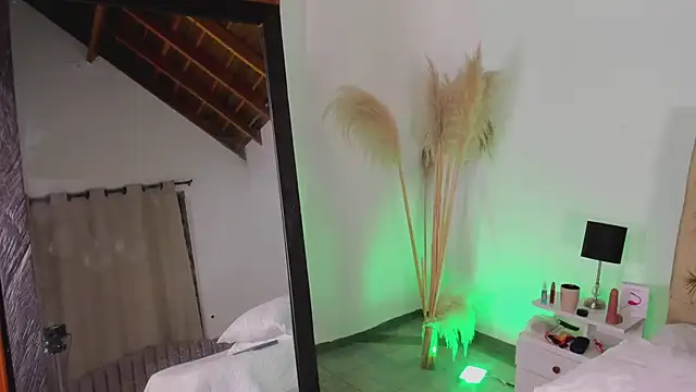 barbara_twerk's cam snapshot