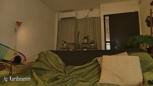 Karibeam's cam snapshot