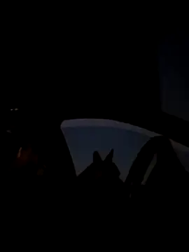 FloppyPickle4u live sex cam