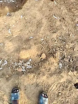 desi_alpha_boy live sex cam